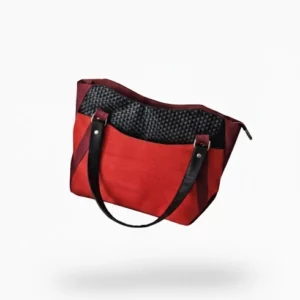 Le-Bordeau-Nocturne-Presentation